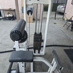 AB Abdominal And Back Fitness Workout Exercise Home Gym Weight Machine