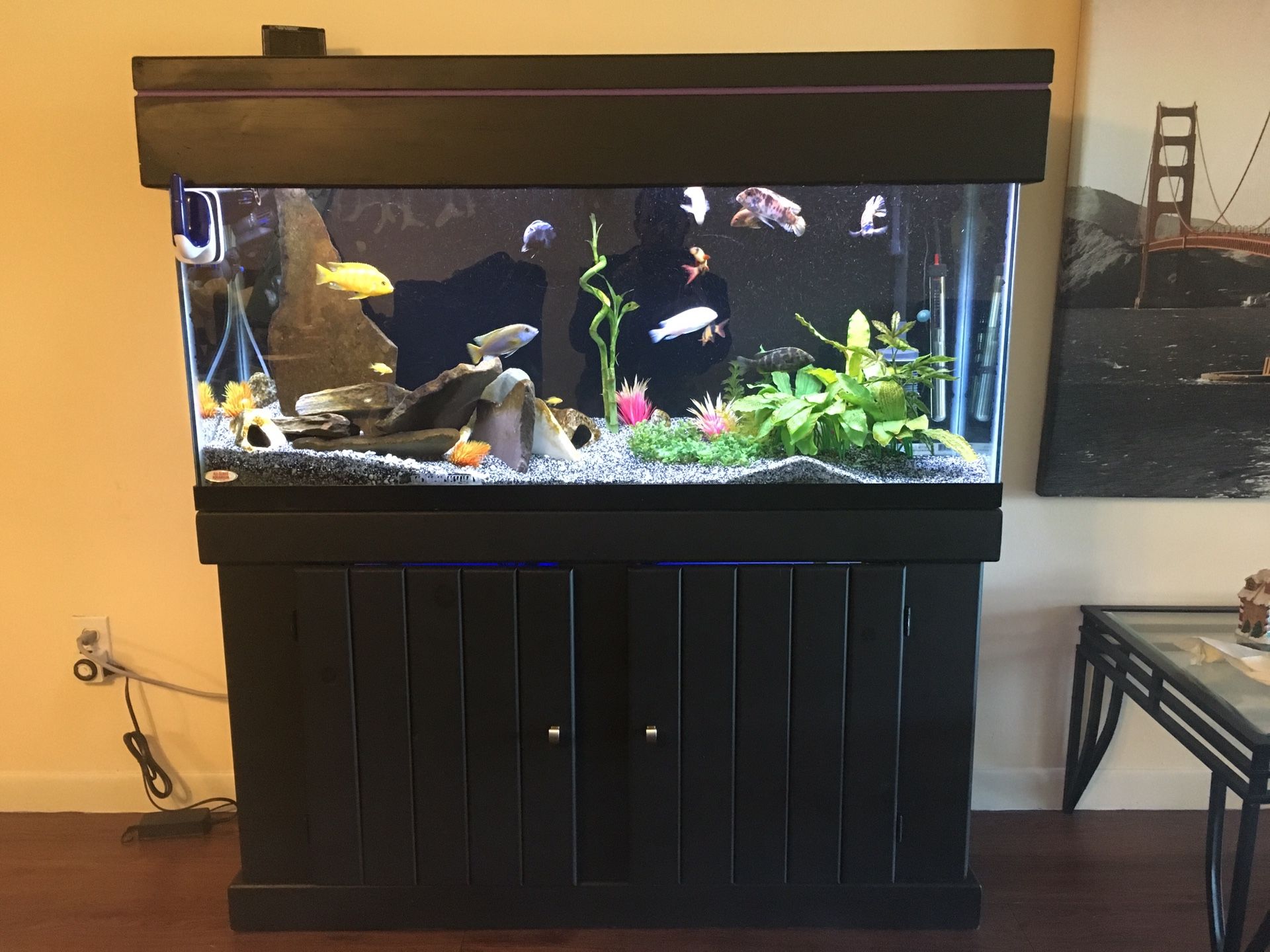 Aquarium 55 gallon fish tank, stand and canopy filter everything