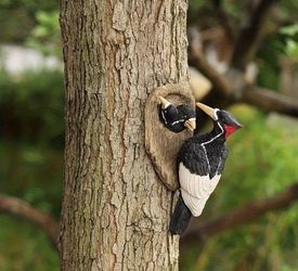 Resin Woodpecker Decor