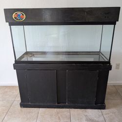 75 Gal Aquarium/Terrarium