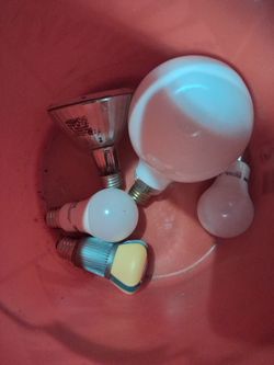 Bucket of light bulbs