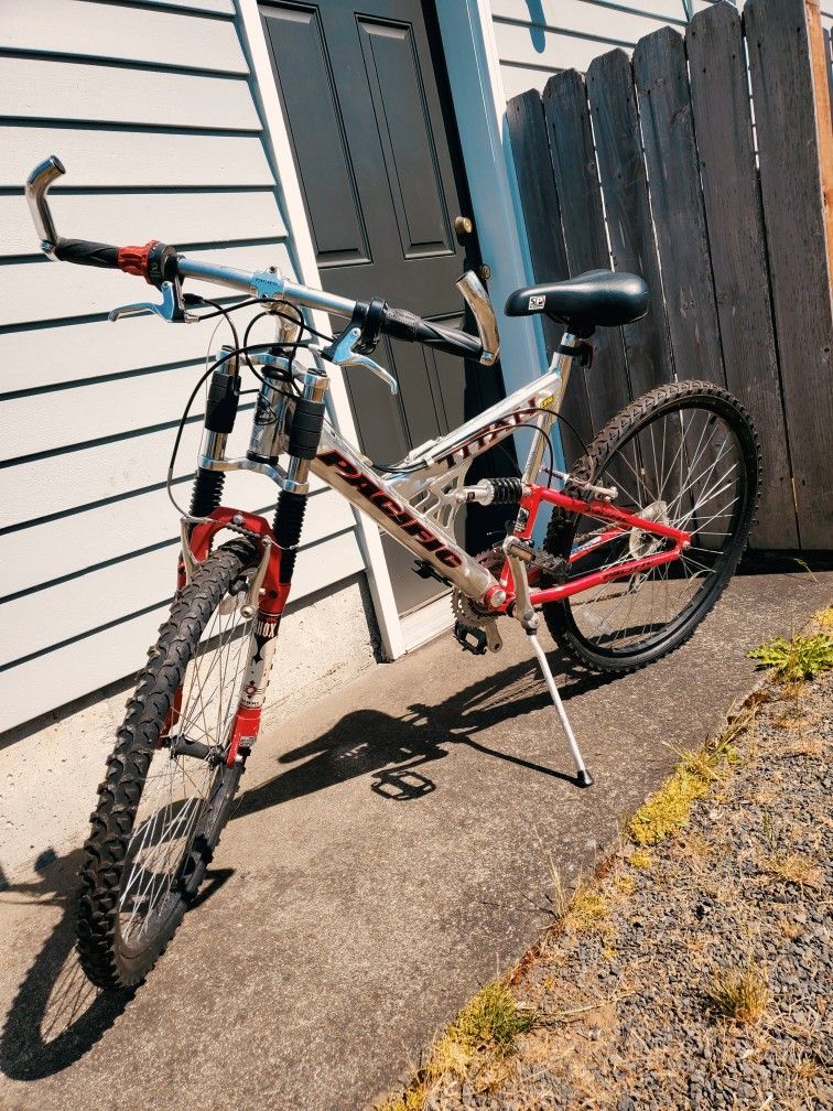 2 Mountain Bikes