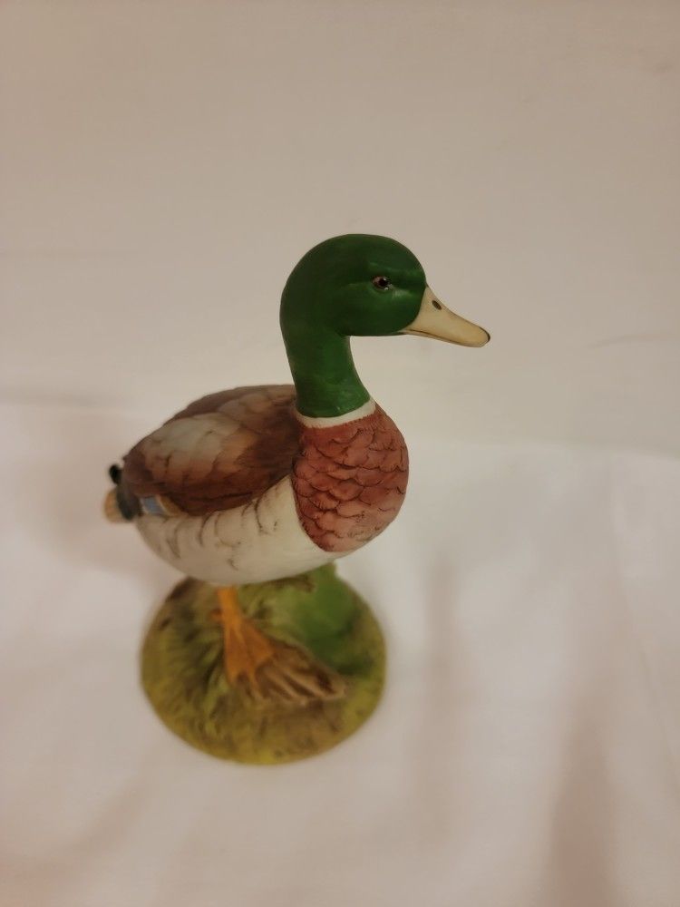 Vintage Mallard Duck Andrea Sadek