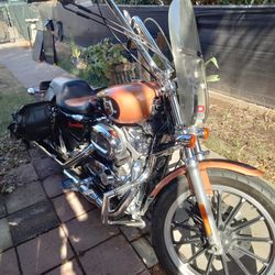 2008 Harley Sportster Low