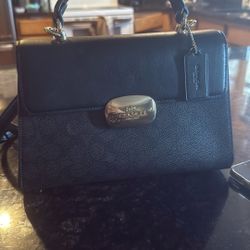 Coat, Brown And Black Purse