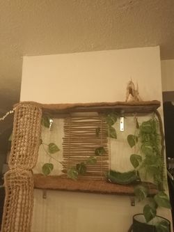 Bearded Dragon Exercise Playset