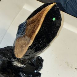 Kyanite & Petrified Wood Sculpture with Opal Accent – One of a Kind