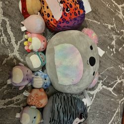 Squishmallows- All Sizes
