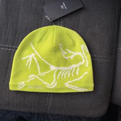Arc’tyrex Bird Beanie Slime Green 