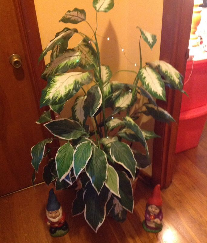 4 ft plant in basket with 2 nomes and fairy lights.
