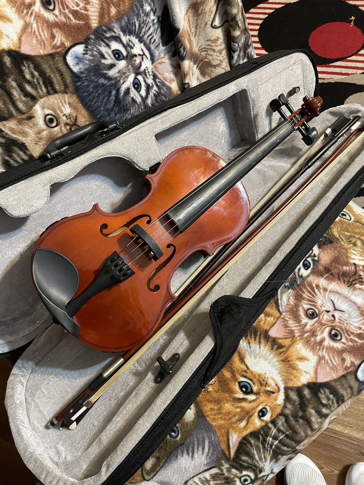 Violin