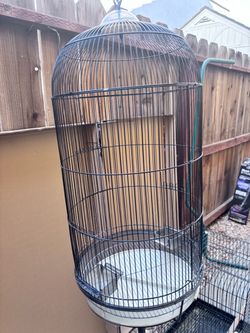 Bird cages