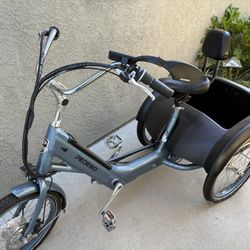 Adult Electric TRIKE