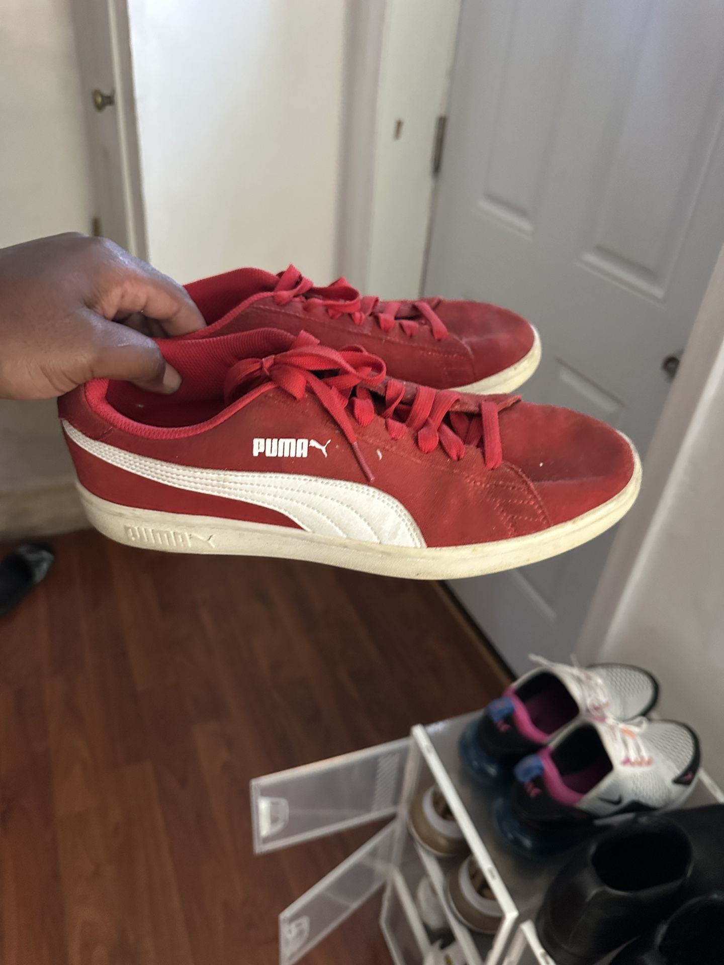 Balled Up Pumas