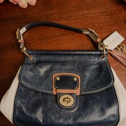 Coach Bag 9