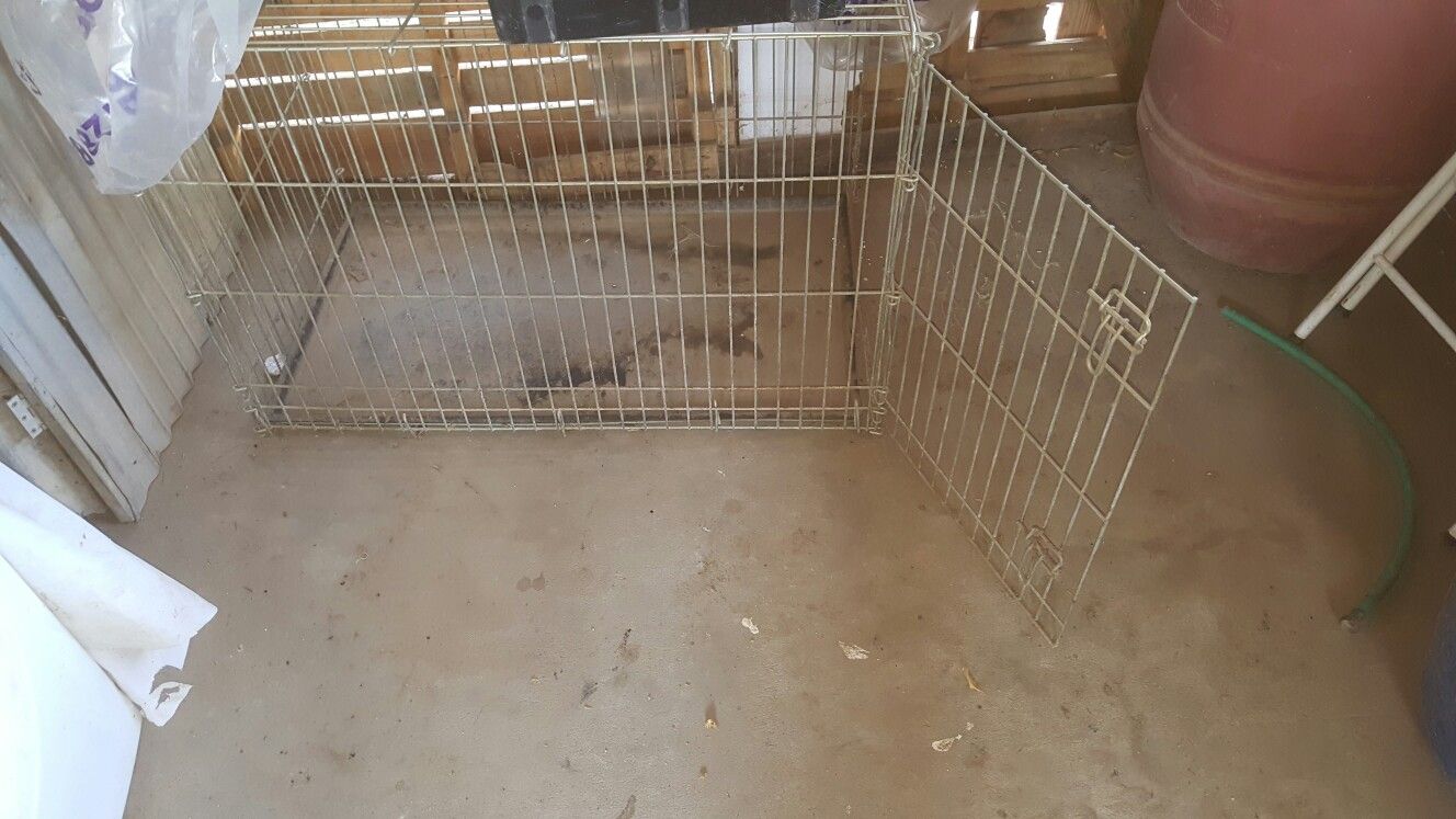 Dog kennel