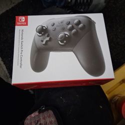 Nintendo Switch Controller 