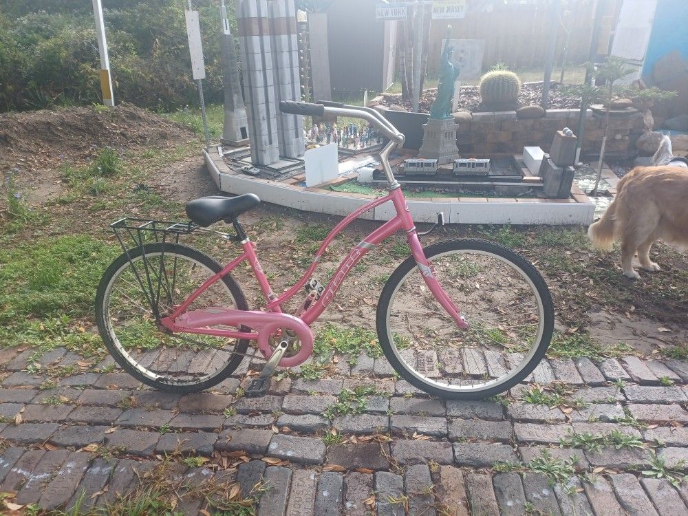 26 inch beach cruiser.