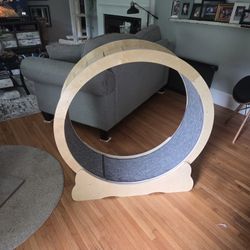 Large Cat Of Dog Treadmill 