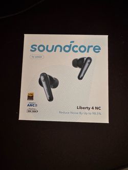 Earphones and portable charger