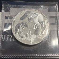 2 oz .9999 Silver Coin