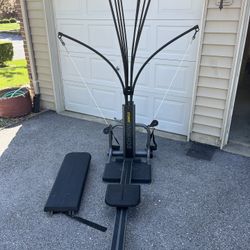 Bowflex Schwinn Full Workout Machine