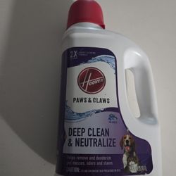 Carpet Cleaner