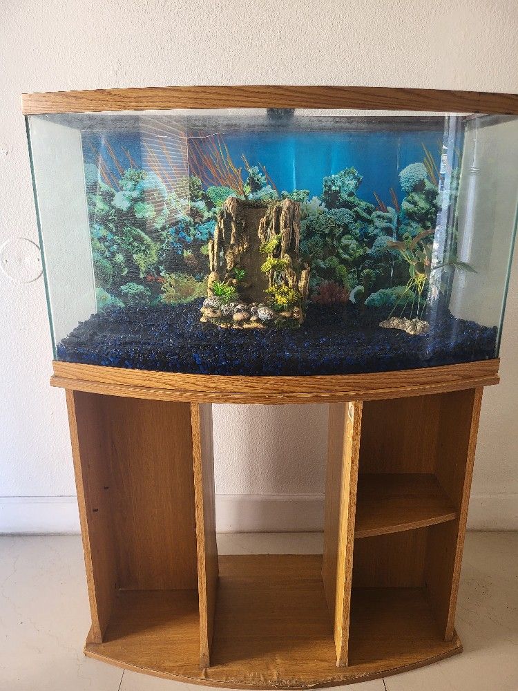 Tank And Stand