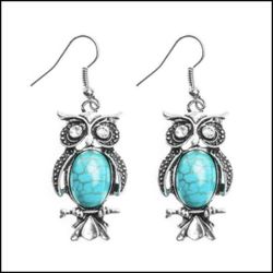 *SALE* Crystal Turquoise Owl Drop Dangle Hook Earrings Jewelry *See My Other 200 Items*