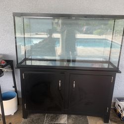 70 Gallon Fish Tank 