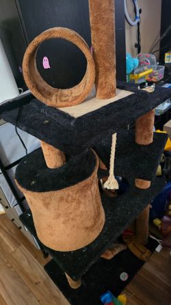 Free cat stand