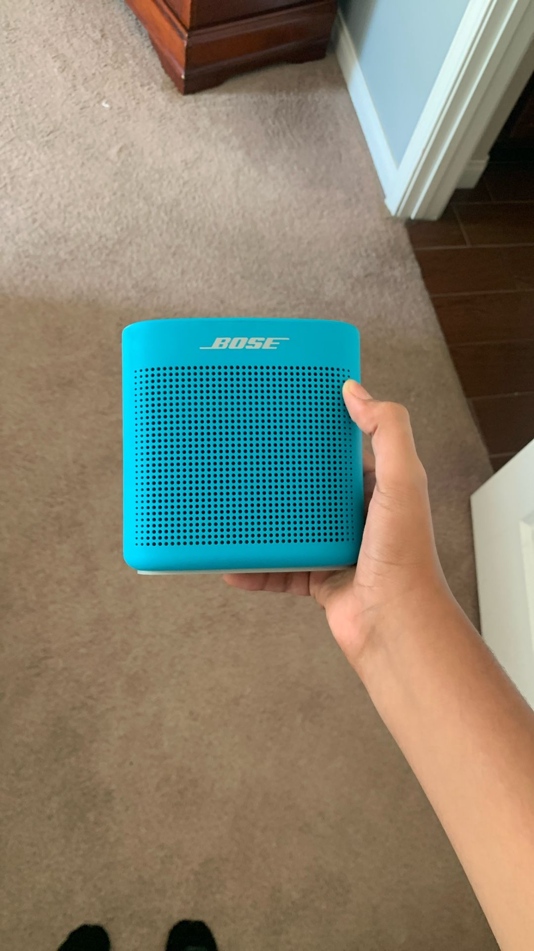Bose SoundLink Color II