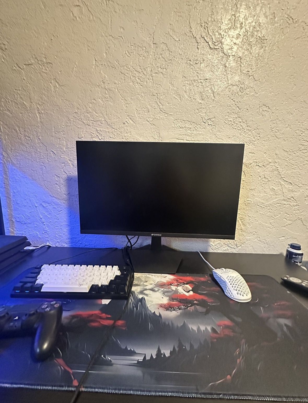 monitor 24.5 inches