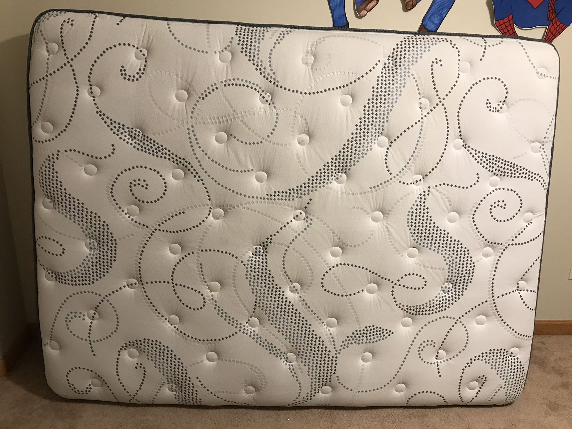 Sealy Fawn Lake Queen Size 18" Mattress Set