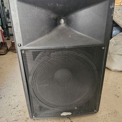Speaker With Amp