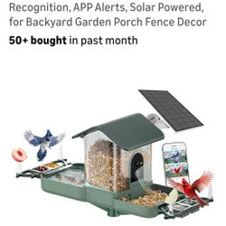 Bird Feeder With 2 Cameras