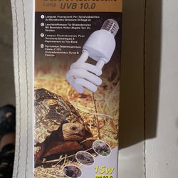 Reptile Light 