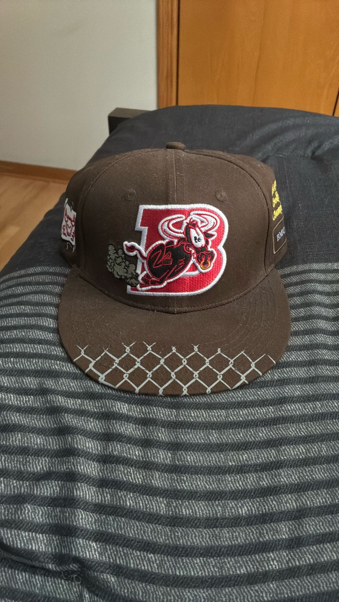 Chicago Bulls Artist Series Hat