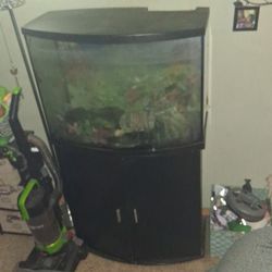 Used Fish Tank Needs New Home