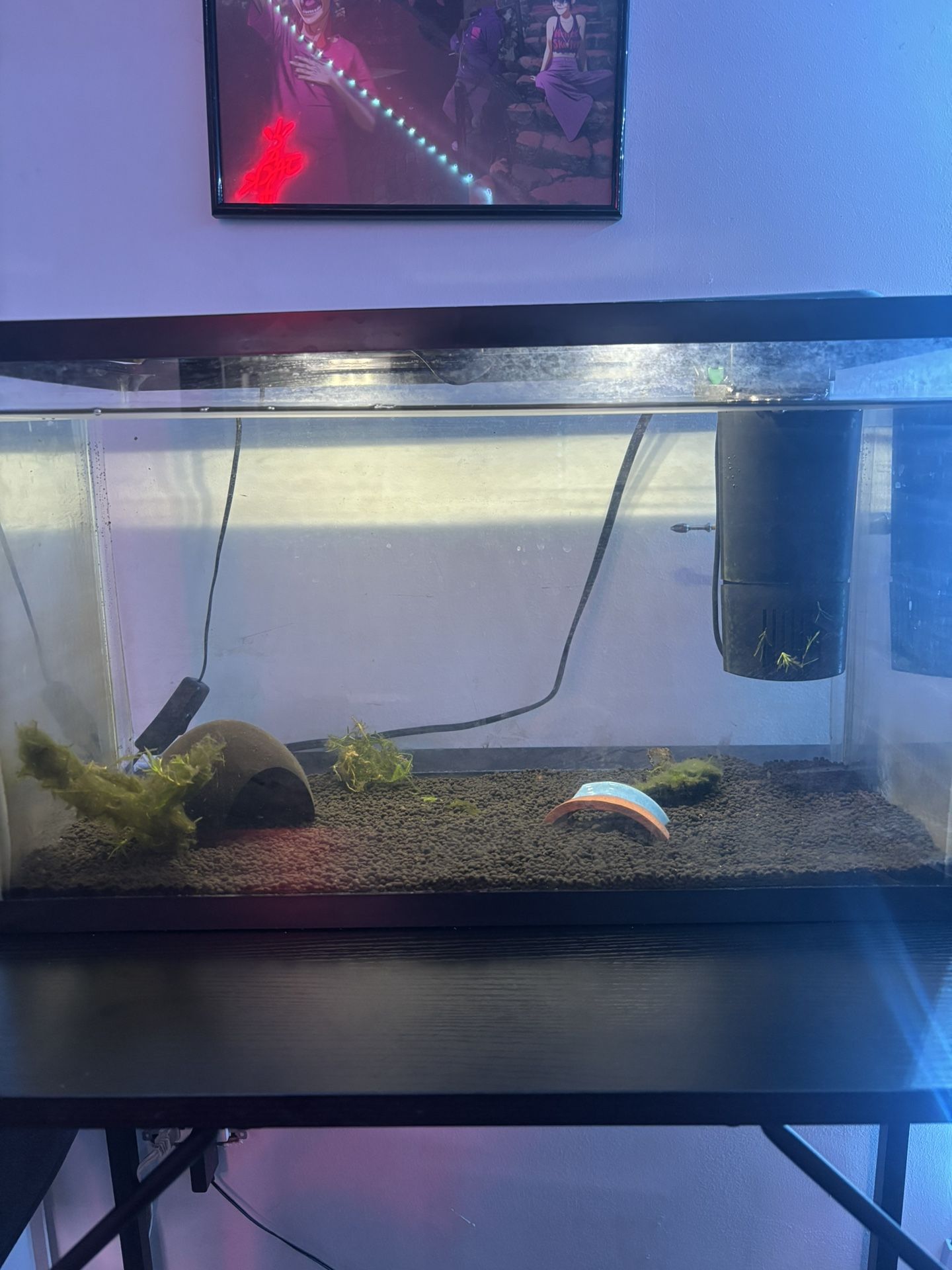 10 Gallons Fish Tank