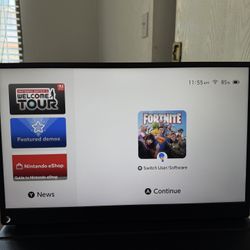Portable Monitor 