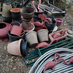 Gardening And Greenhouse Stuff