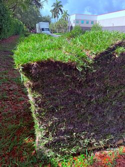 🌱 Fresh Sod for Sale – Delivery & Installation Available