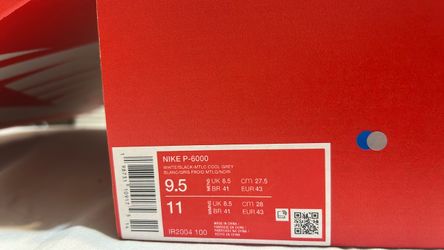 Nike P-6000