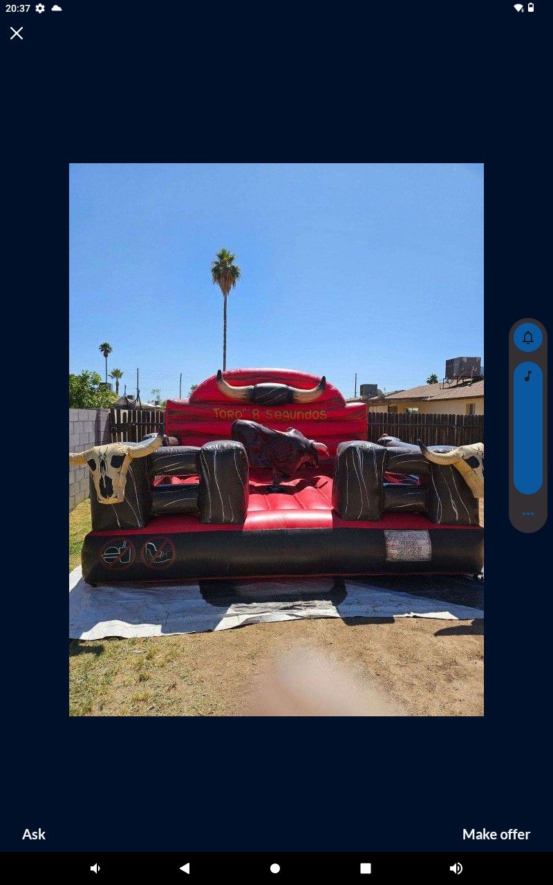 Bull