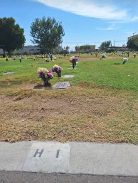 Burial Plot Desert Lawn Memorial Park