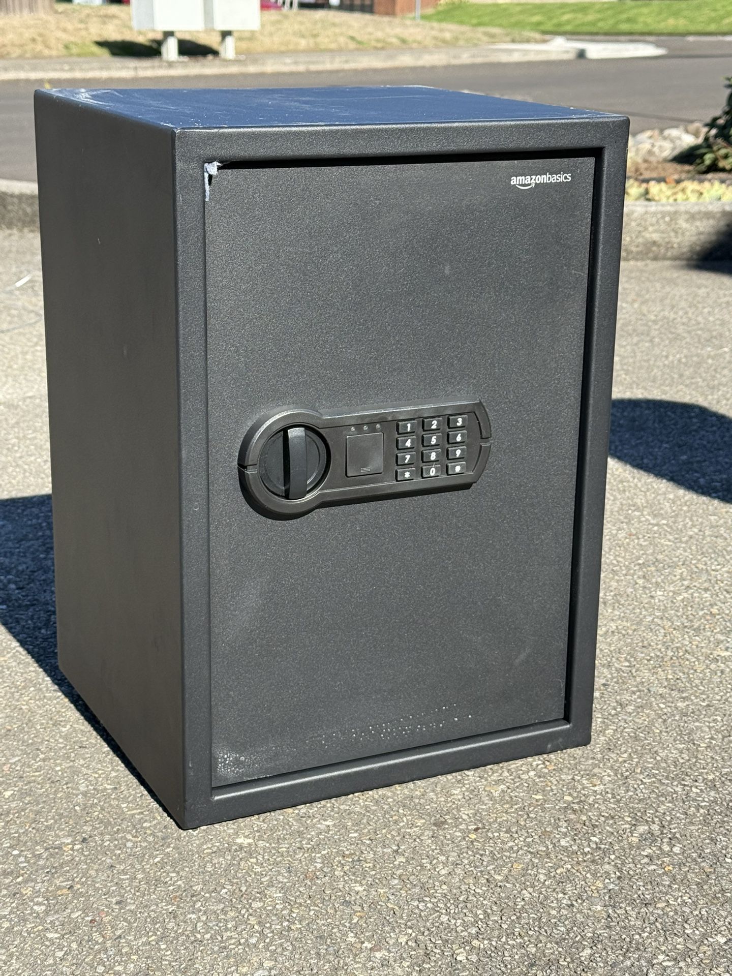 Amazon Basics Safe