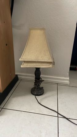 Lamb With Extra Cover