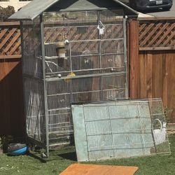 Bird Cage 