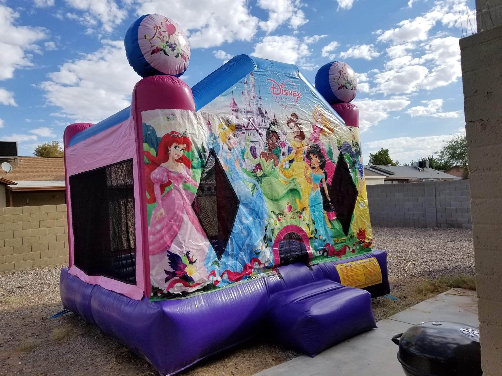 Disney Princess Bounce Houses For sale